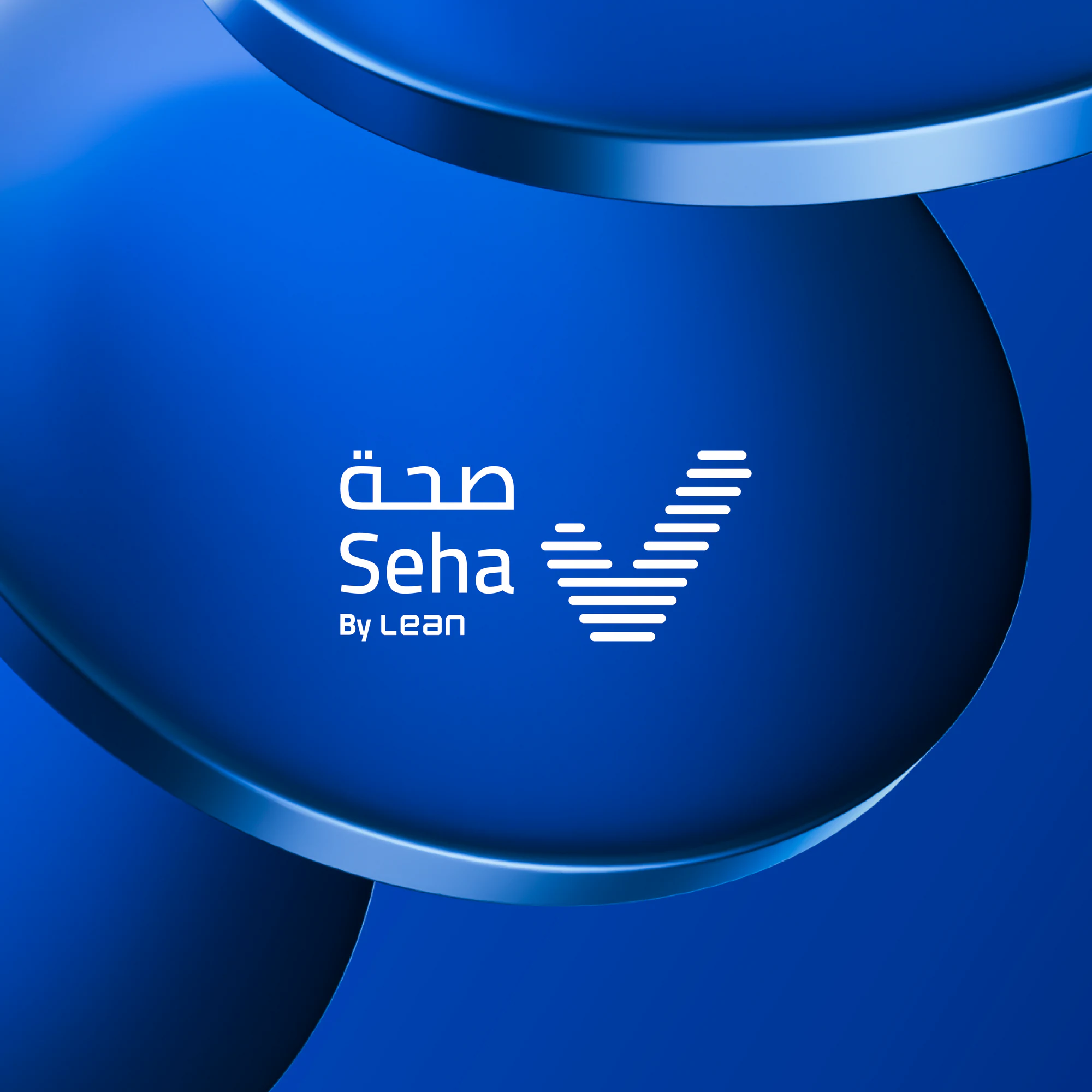 SEHA VISUAL IDENTITY